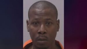 Un homme arrêté après que le nouveau propriétaire ait trouvé des corps dans un hangar pendant des rénovations