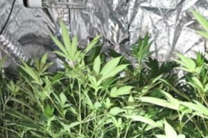 Deux personnes arrêtées après une descente de drogue dans le quartier de St Matthews à Preston – Blog Preston