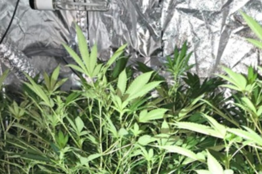 Deux personnes arrêtées après une descente de drogue dans le quartier de St Matthews à Preston – Blog Preston