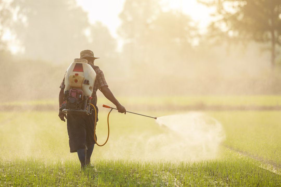 Cette grande étude confirme un effet cocktail des pesticides que les chercheurs redoutaient 1 2 agriculture pesticides