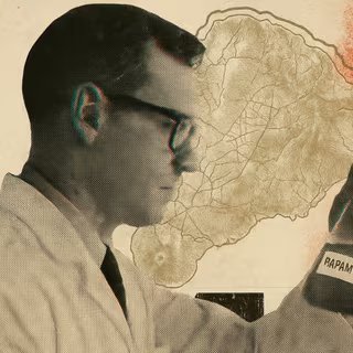 Le peuple Rapa Nui est pratiquement absent de l’histoire de la découverte de la rapamycine telle qu’elle est généralement racontée. © ✶ Imaginé par XD | Codé avec ChatGPT