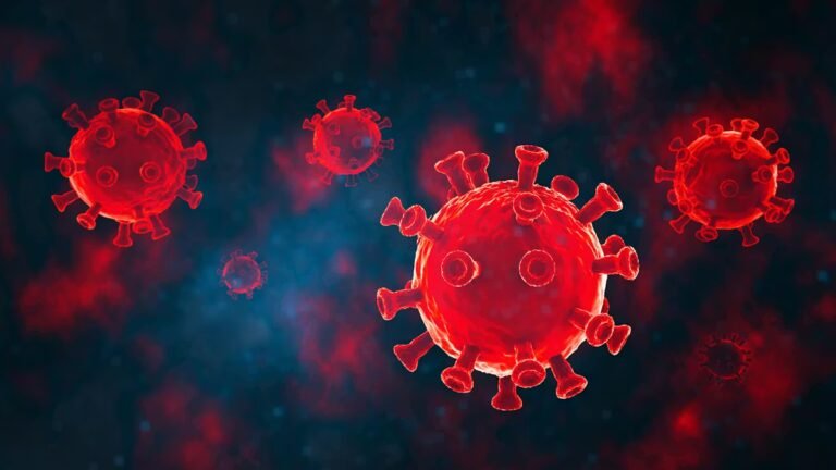 Un nouveau coronavirus transmissible à l'espèce humaine découvert chez des chauve-souris au Kenya