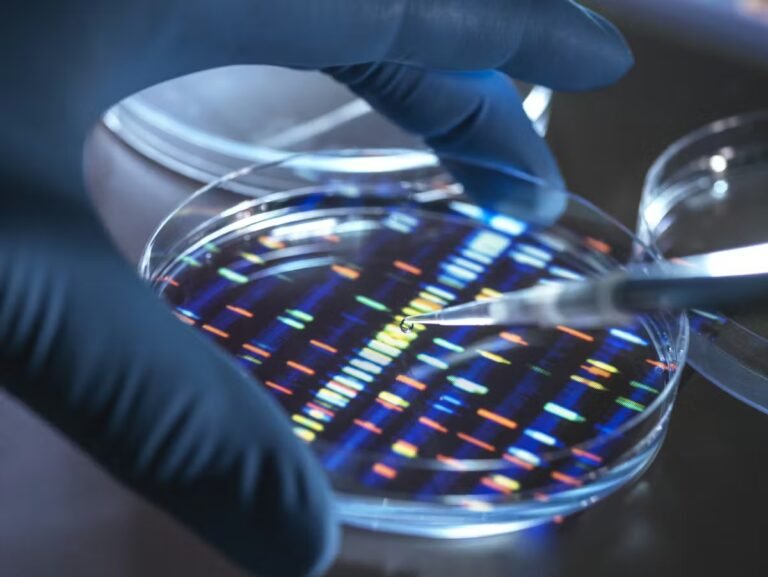 Vers une légalisation des tests ADN pour la recherche des origines familiales ?