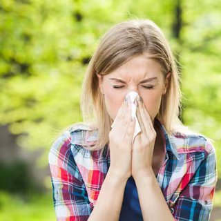 Les allergies saisonnières sont liées aux pollens, surtout présents au printemps et en été. © djoronimo, Fotolia