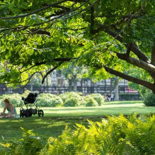Le végétal souffre d’une ignorance tenace et d’une invisibilité croissante. © Santiago Silver, Adobe Stock
