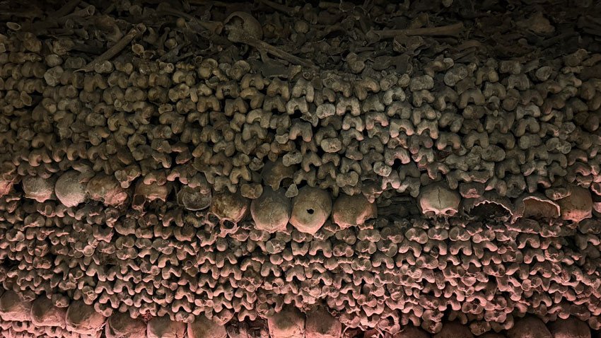 Mur d'ossements, Catacombes de Paris © Connaissance des Arts / Alexandre Dars