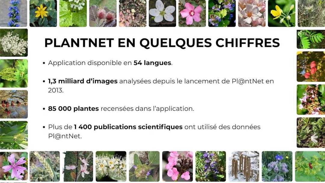 file 20260325 57 30z6se