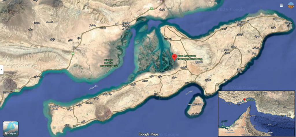 L'île de Qeshm, dans le détroit d'Ormuz, abrite la vaste forêt de mangroves de Hara.