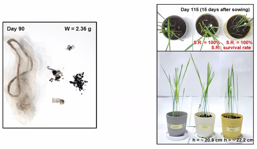 robot compostable jour 90