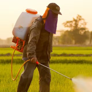 Cette grande étude confirme un effet cocktail des pesticides que les chercheurs redoutaient 3 Les agriculteurs sont conscients des dangers des pesticides et préviennent de leur utilisation dans leurs champs. © PiggingFoto, Shutterstock