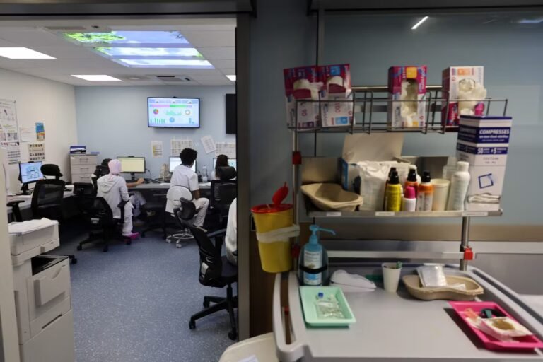 Grippe : l’Académie de médecine recommande l’obligation vaccinale pour les soignants