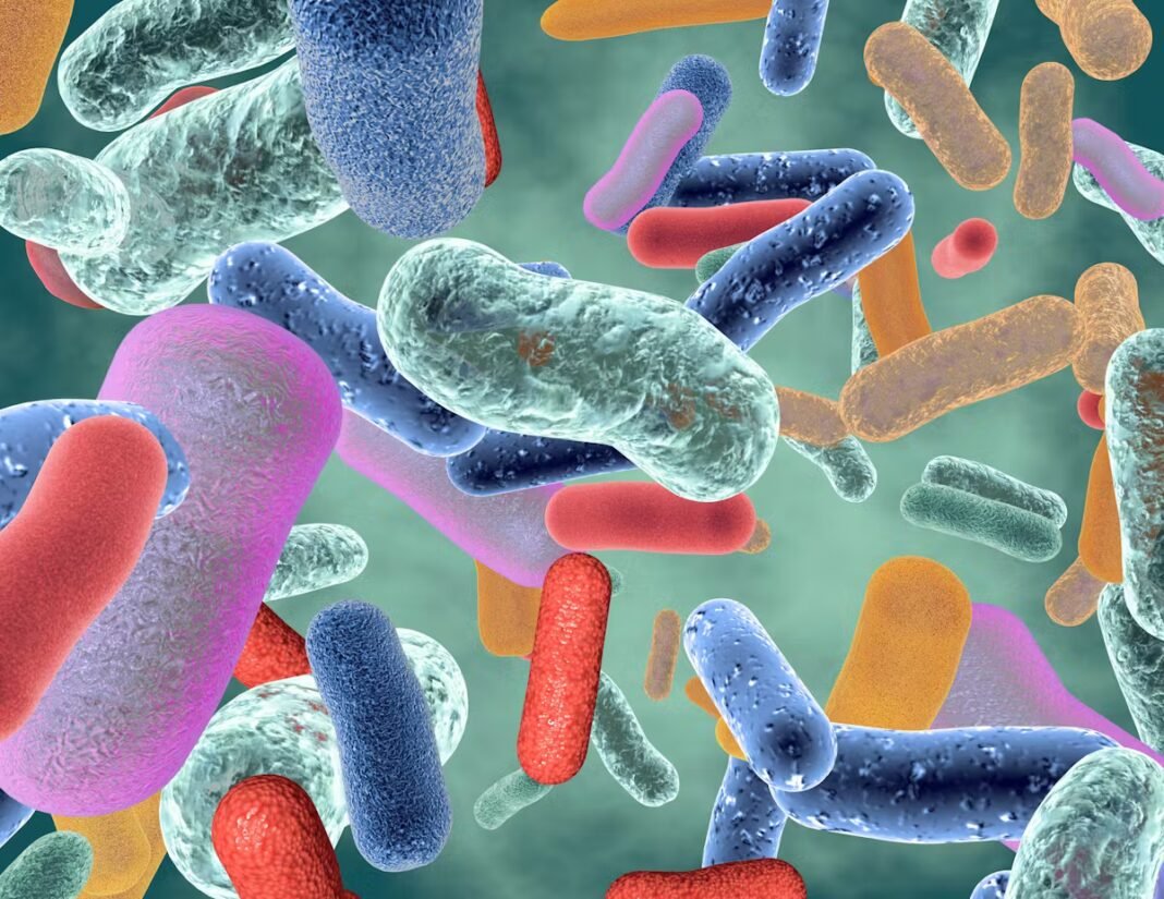 Microbiote intestinal : ce qu'il faut savoir pour rester en bonne santé