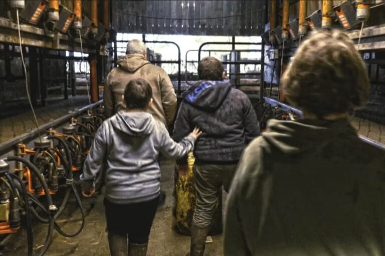 « Violence dans les champs », sur France 5 : nourrir le monde jusqu’à en mourir