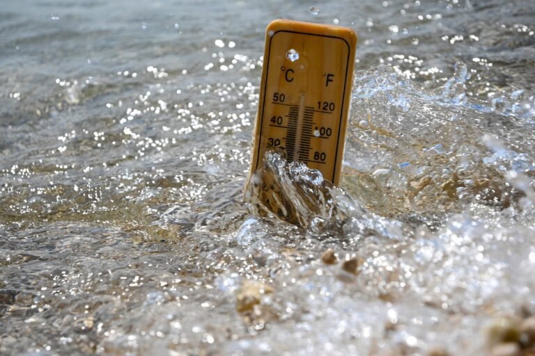 Baignade de rêve ou signal d’alerte ? La mer atteint déjà des températures anormales, les chercheurs n’en reviennent pas !