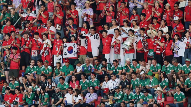 Coupe du monde: le maillot, un symbole de ralliement très encadré
