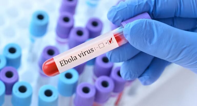 Épidémie d'Ebola : un premier cas détecté en France, qui est le patient ?
