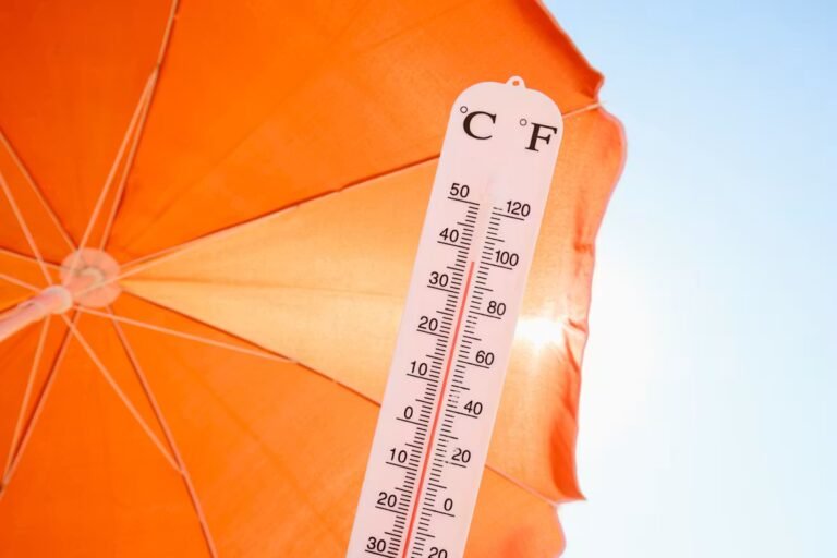 Fortes chaleurs : une nouvelle vague en juillet, peut-on prévoir les épisodes de canicule ?