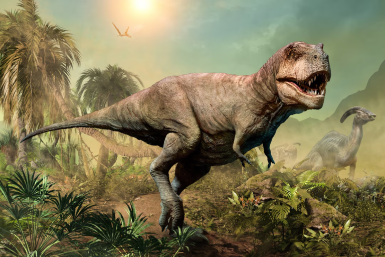 Loin d'être inutiles, les petits bras du T. rex auraient eu une fonction redoutable selon ce chercheur