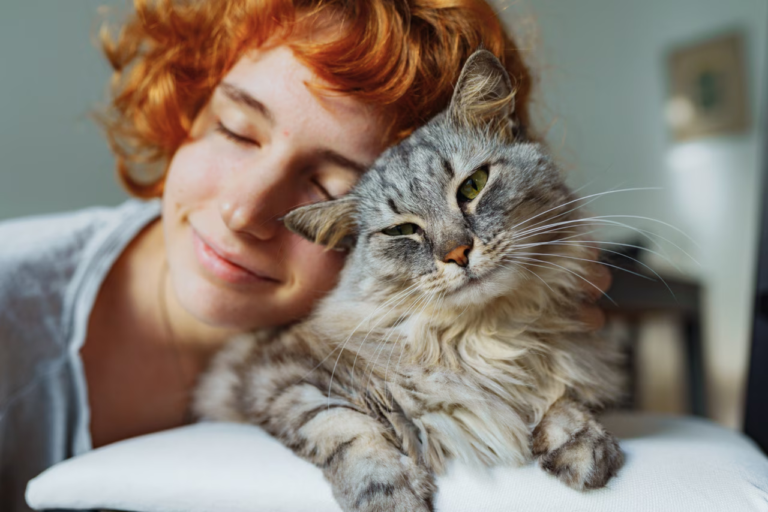 On s'est trompé pendant des décennies sur l'origine de nos chats domestiques selon une nouvelle étude