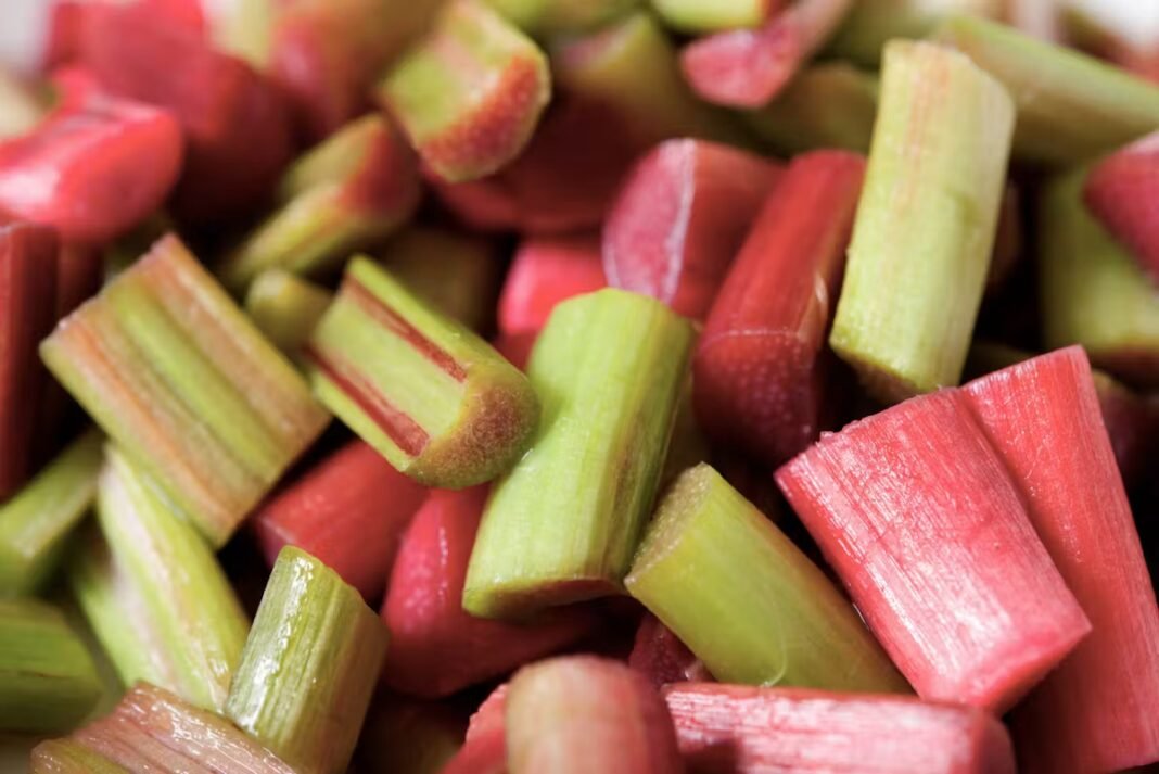 Peut-on manger de la rhubarbe en cas de cholestérol ? Peut-on manger de la rhubarbe en cas de cholestérol ?
