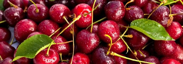 Peut-on manger des cerises quand on a du cholestérol ?