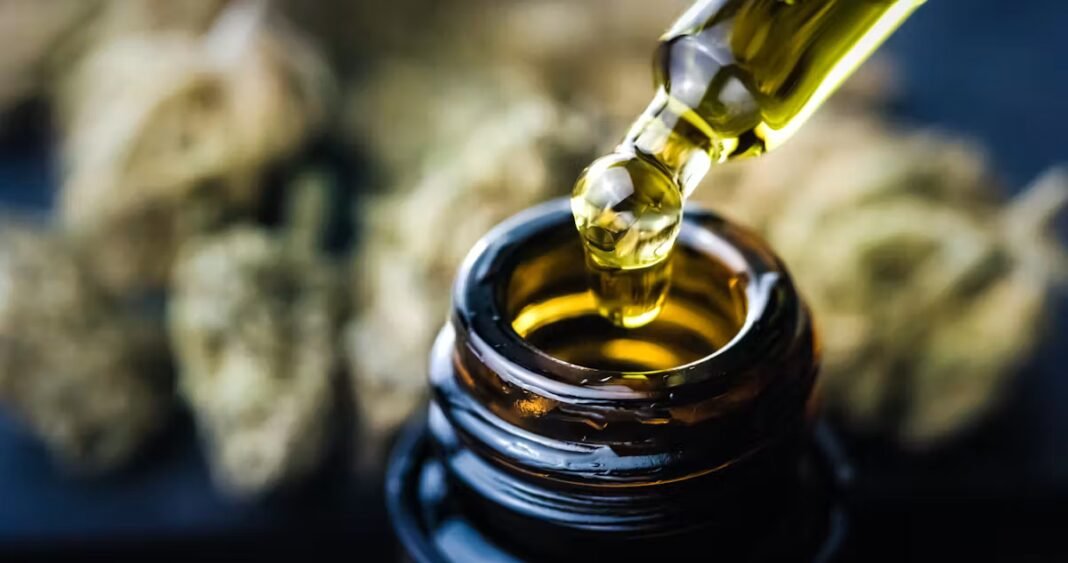 Selon une étude, le CBD pourrait ralentir la maladie d'Alzheimer