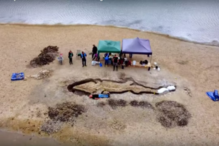 Un gigantesque « dragon des mers » vieux de 180 millions d’années découvert au Royaume-Uni
