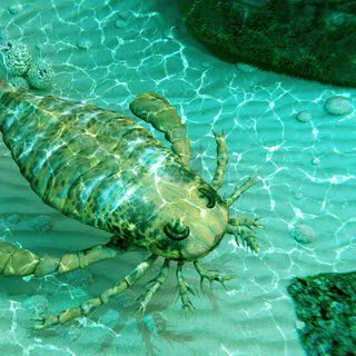 Des chercheurs identifient le plus grand scorpion de tous les temps : il mesurait plus d’un mètre ! 3 Les arthropodes géants auraient dominé les mers de l'Ordovicien, il y a 470 millions d'années. © auntspray, Adobe Stock