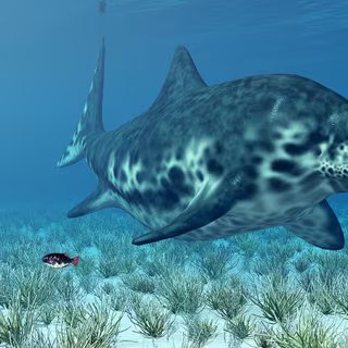 Les ichtyosaures sont apparus il y a 250 millions d'années, légèrement avant les dinosaures (230 millions d'années) et ont disparu peu avant eux. Ces vertébrés marins ressemblaient aux dauphins actuels. Comme eux, ils devaient venir respirer l'air à la surface des eaux. © Michael Rosskothen, Shutterstock
