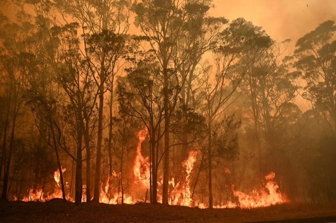 4 incendies australie