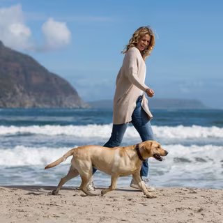 Le chien aide et favorise le maintien de l'activité physique. © WavebreakMediaMicro, Fotolia