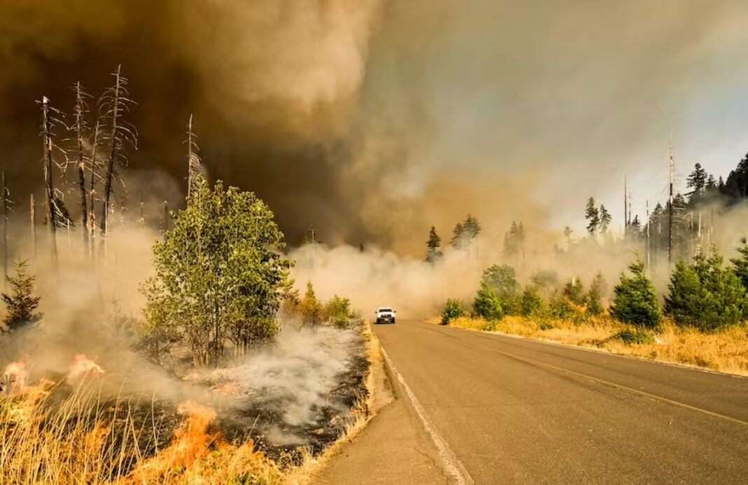 Asthme, cancer, démangeaisons : quels sont vraiment les risques liés à la fumée des incendies et comment se protéger ?