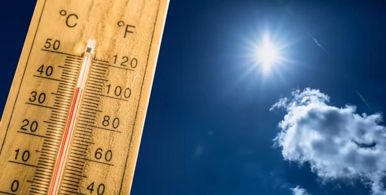 Canicule : l'inquiétude des hôpitaux pour affronter ce nouvel épisode