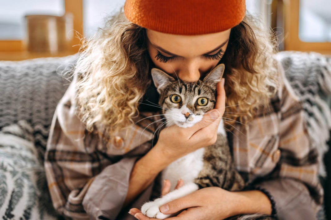 Caresser souvent un chat : voici ce que cela dirait de votre personnalité selon une étude scientifique Caresser souvent un chat : voici ce que cela dirait de votre personnalité selon une étude scientifique
