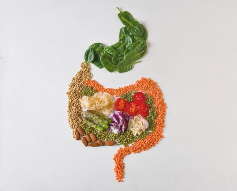 Les fibres facilitent la digestion : pourquoi ça n’est pas si simple