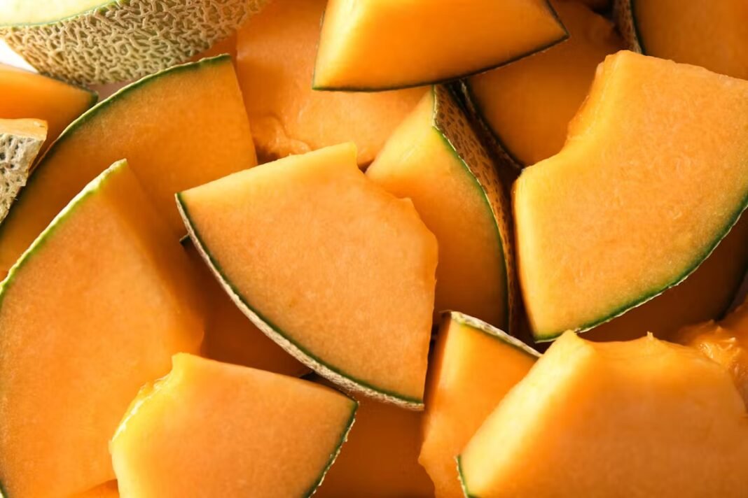 Quel est le meilleur moment pour manger du melon ? Quel est le meilleur moment pour manger du melon ?