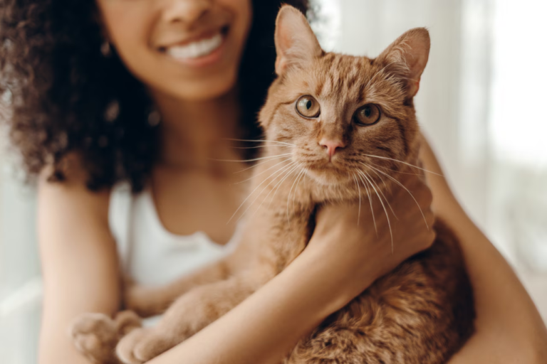 Selon des chercheurs, voici la technique toute simple pour communiquer vraiment avec votre chat