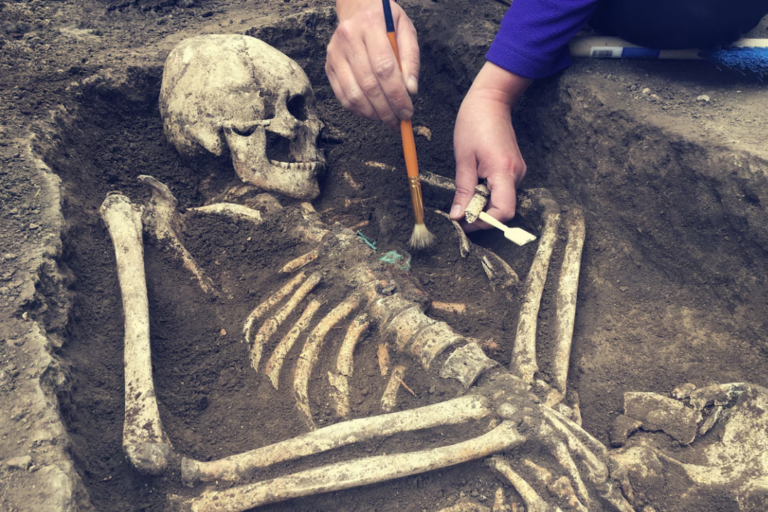 Voici l'étonnante découverte que des chercheurs viennent de faire dans des ossements vieux de plus de 300 ans