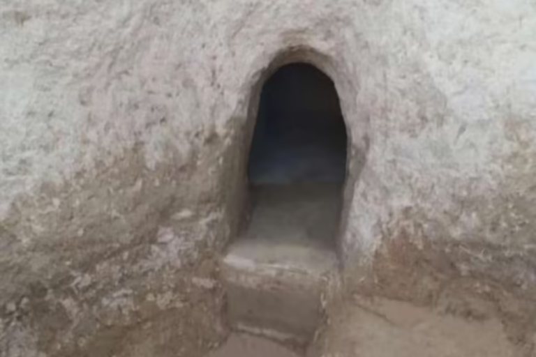 Voici la stupéfiante découverte d'archéologues sous une cité antique chinoise vieille de plus de 4 000 ans