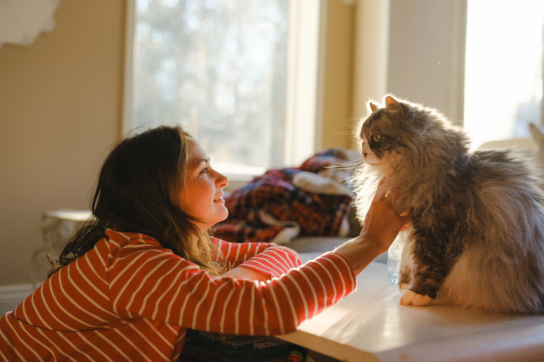 Vous pensiez que votre chat vous boudait ? Voici ce que révèle vraiment une étude japonaise