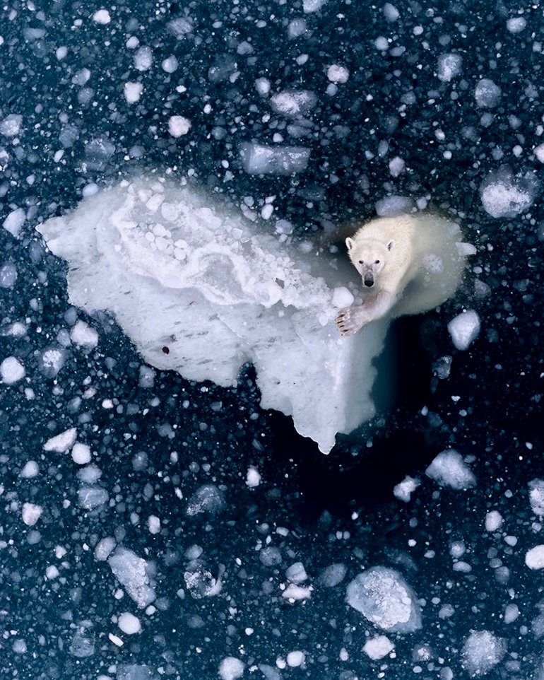 La photo de la semaine : c’est beau, on dirait du Pollock… jusqu’à ce que vous compreniez ce que c’est ! 1 aerial photographer year 2026 rhiannon lawler