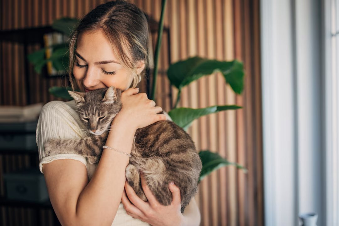 Caresser souvent un chat : voici ce que cela dirait de votre personnalité selon une étude scientifique 1 caresser chats anti stress