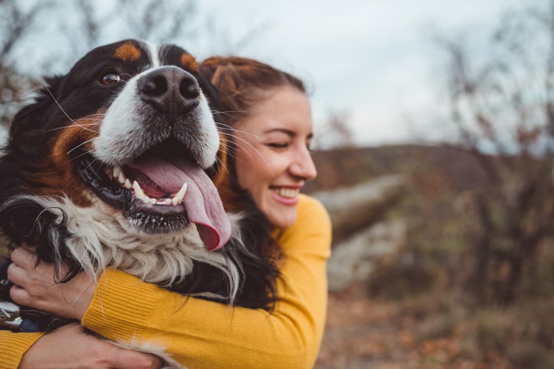 Voici pourquoi vous ressemblez sans doute à votre chien selon des chercheurs 1 chien ressemblance maitre