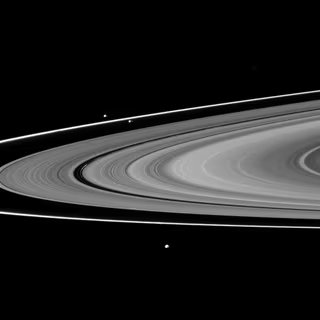 Les lunes « bergères » de l'anneau F, Prométhée et Pandore, sont montrées avec Epiméthée au premier plan de cette image des anneaux de Saturne. Prométhée (86 km) peut être vue en orbite à l'intérieur de l'anneau F mince. Pandore (81 kilomètres de diamètre) orbite en dehors de l'anneau F, à gauche de Prométhée. Epiméthée (113 kilomètres) orbite au-delà de l'anneau F près du bas de l'image. © Nasa-JPL