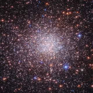 Les astronomes ont tourné le télescope spatial James-Webb vers un drôle d’amas d’étoiles au cœur de la Voie lactée, Terzan 5. Son oeil perçant y a vu quelque chose que personne n’avait imaginé, forçant les chercheurs à réécrire l'histoire de l'amas et au-delà, celle de la formation des galaxies. © Nasa, ESA, CSA, STScI, Giorgia Zullo (University of Bologna), Francesco Ferraro (University of Bologna) ; Image Processing : Alyssa Pagan (STScI)