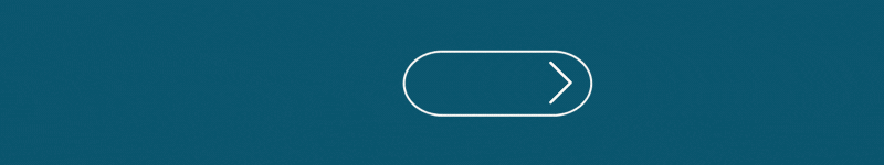 spot_img